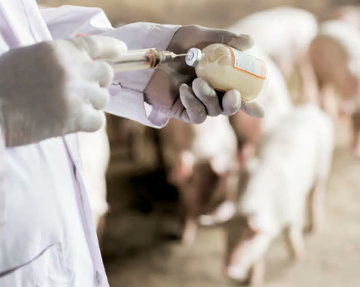 QS-System tweet media