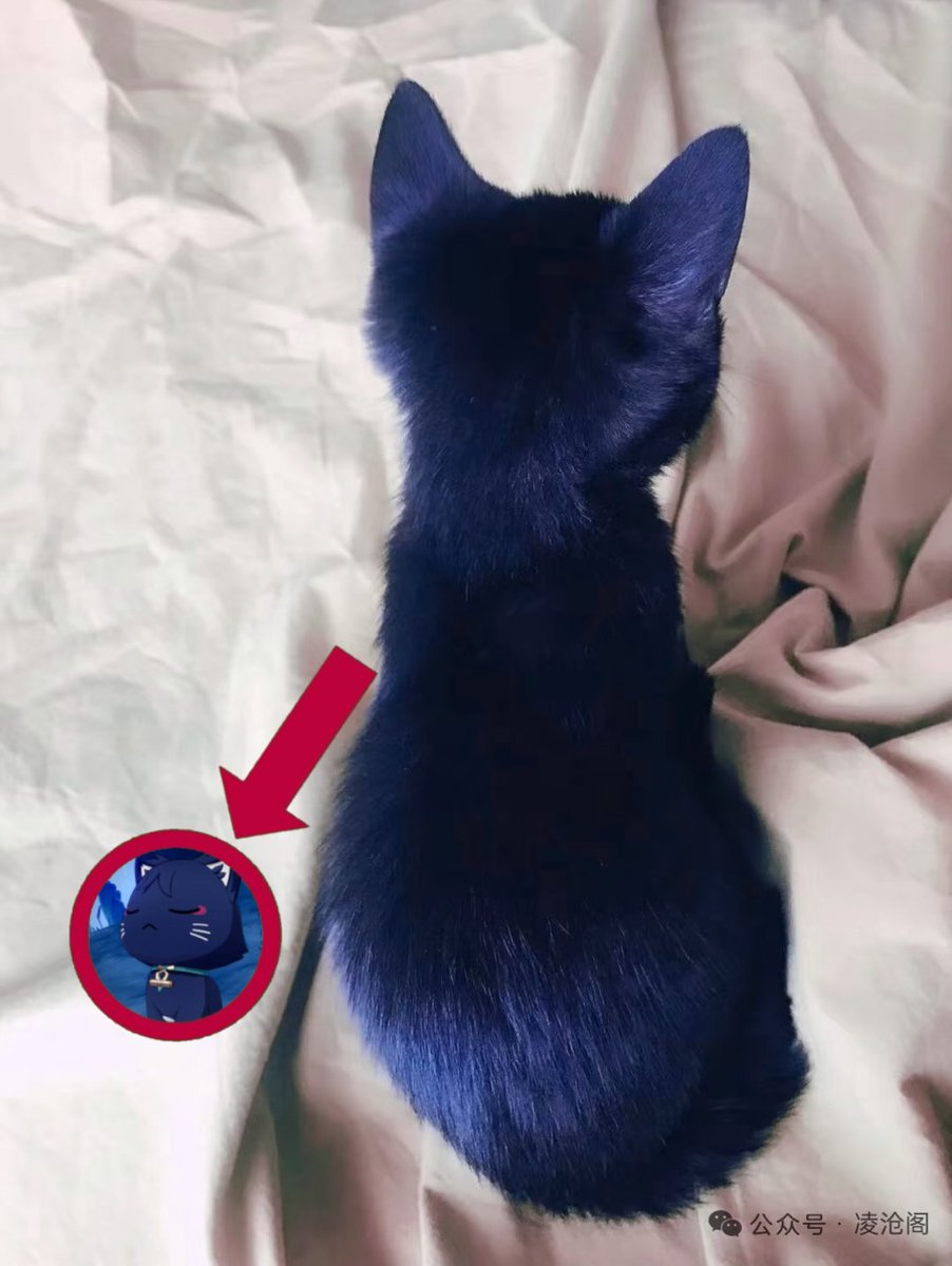 ┆# scaramоmо ּ ֶָ֢.☂️🪽 tweet media