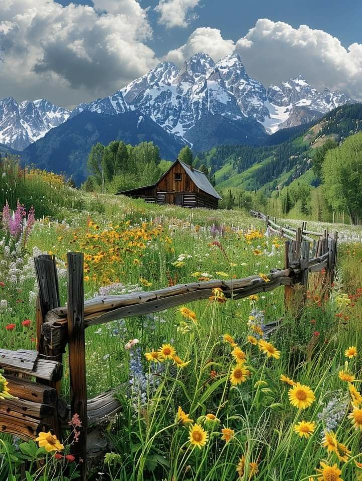 Magical views tweet media