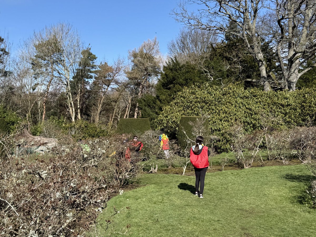 Danderhall Primary tweet media