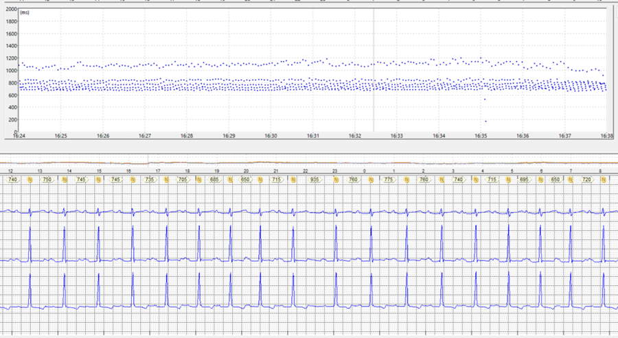 Antonio Thomaz de Andrade, MD 🇧🇷 tweet media