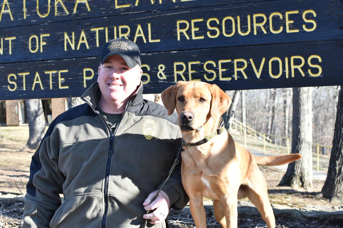 State of Indiana tweet media