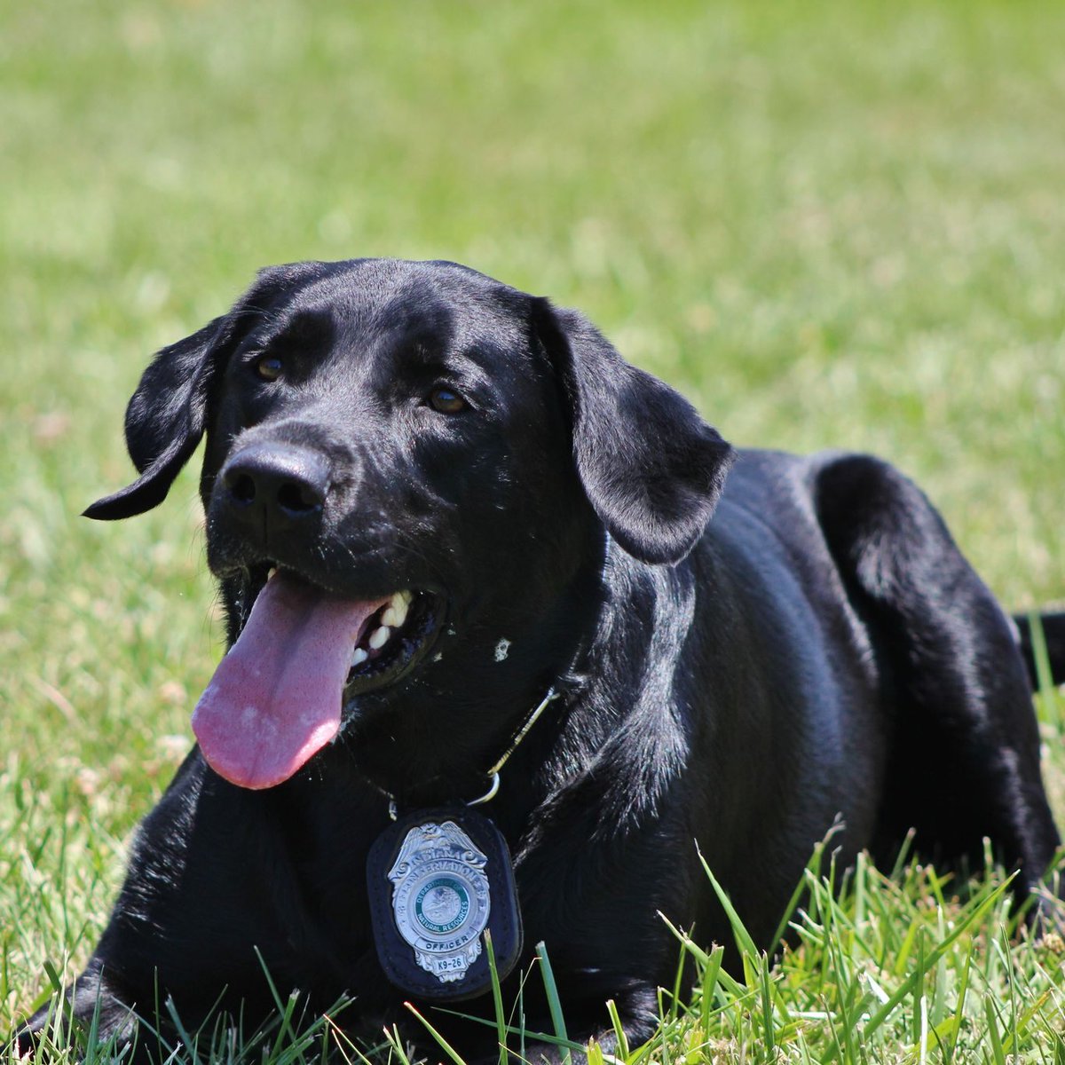 State of Indiana tweet media