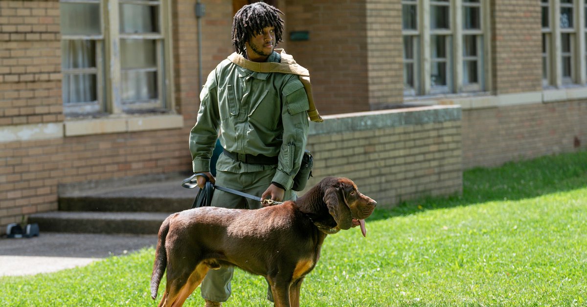 State of Indiana tweet media