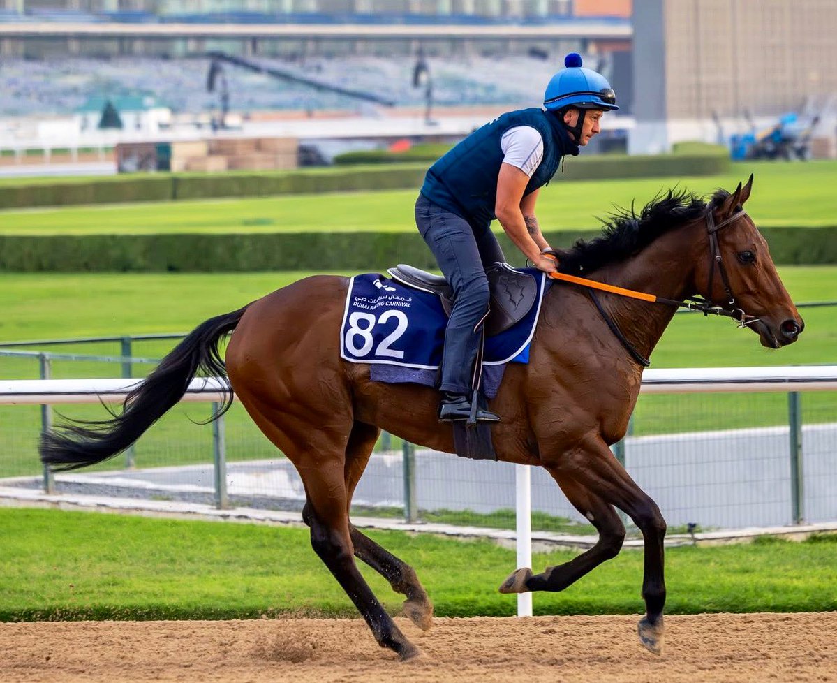 All For One Racing Syndicates tweet media