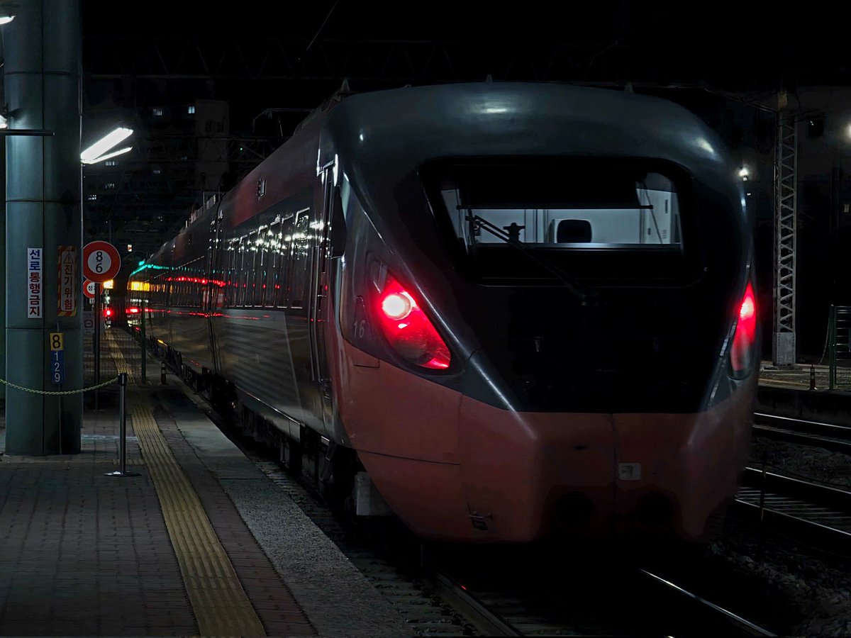 참치(マグロ) tweet media