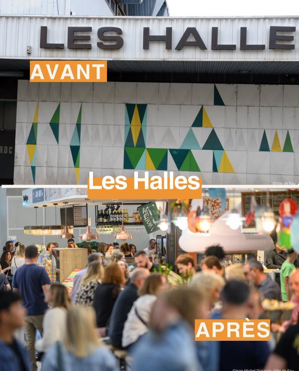 Patricia Wolfs tweet media