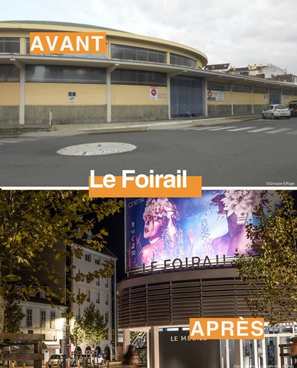 Patricia Wolfs tweet media