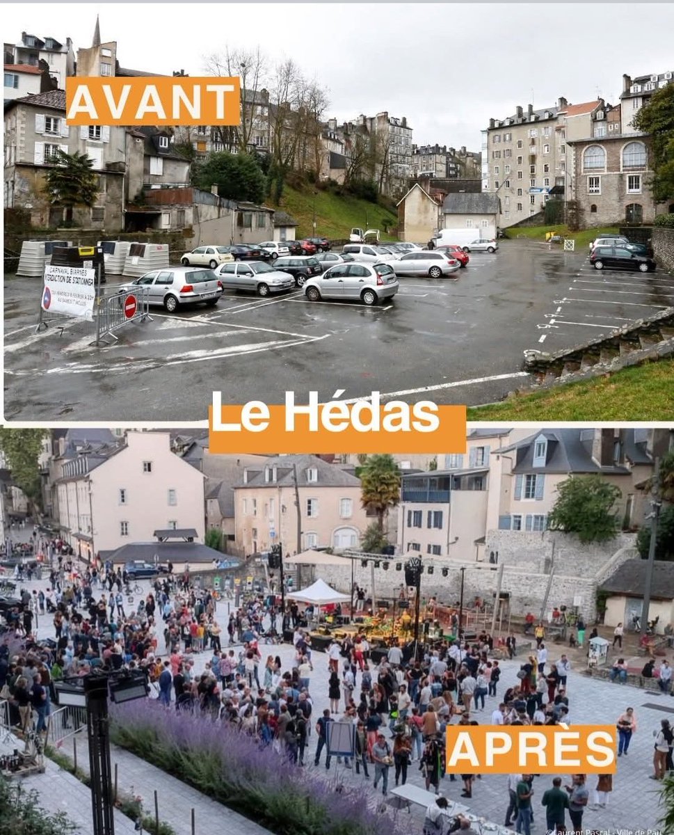 Patricia Wolfs tweet media