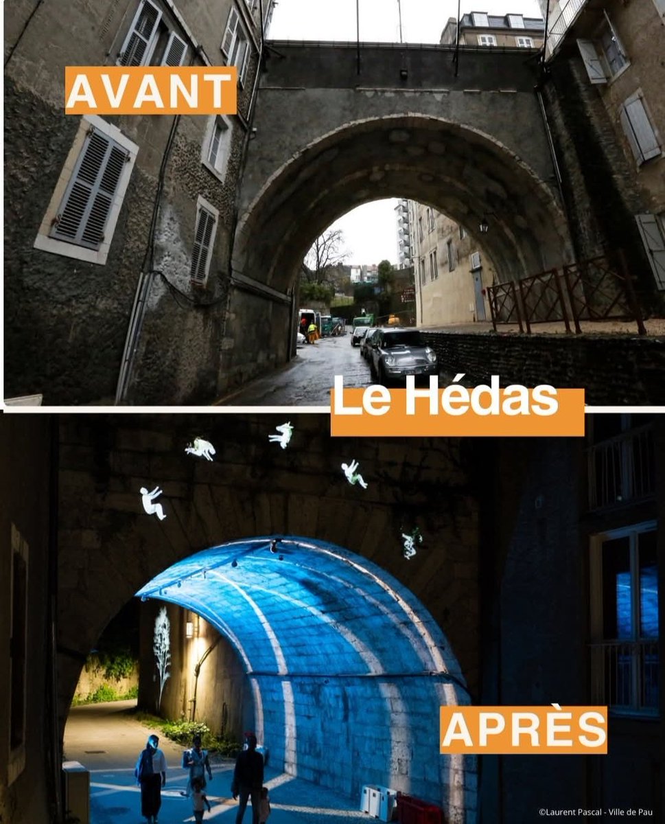 Patricia Wolfs tweet media