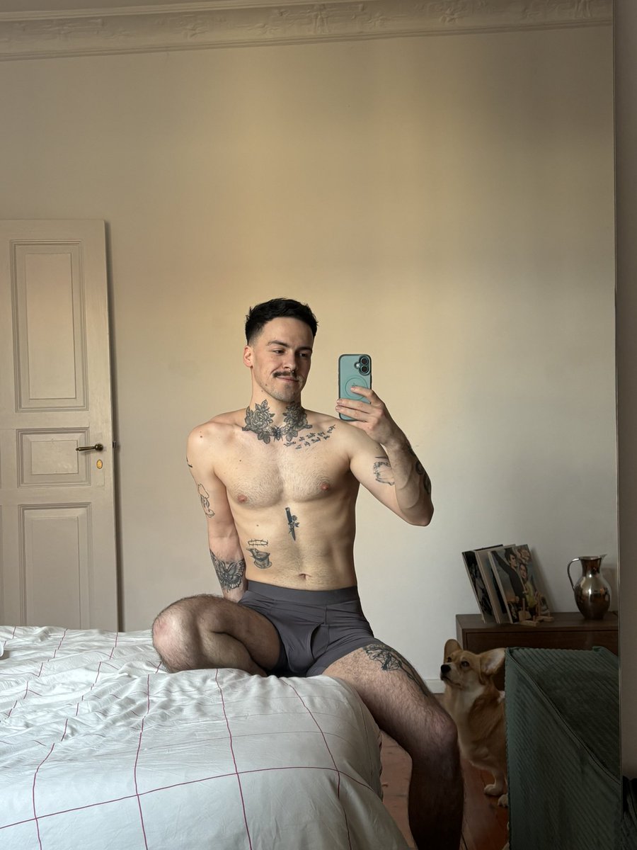 🌹🗡️ tweet media