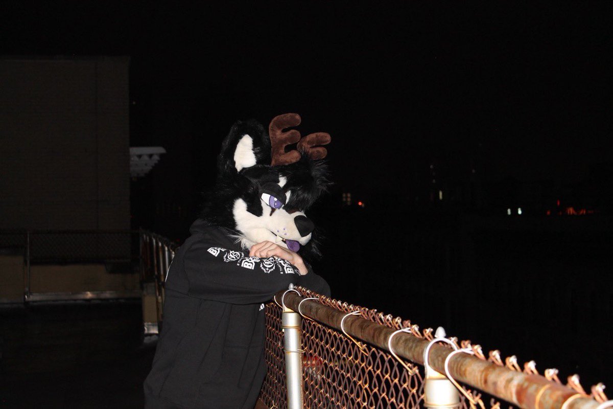 razi @ tff tweet media