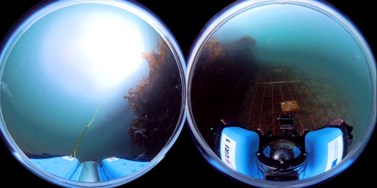 Jorge Urcera tweet media