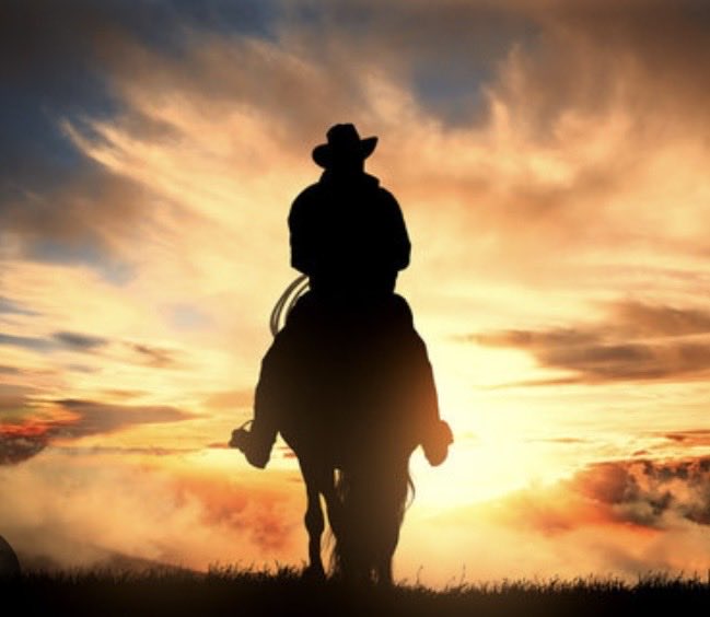 ND COUGAR BASKETBALL tweet media