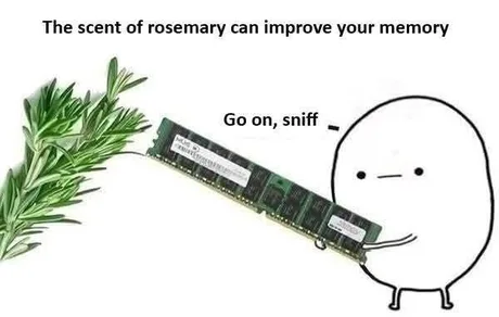 PCSpecialist tweet media