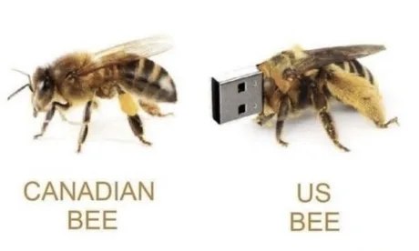 PCSpecialist tweet media