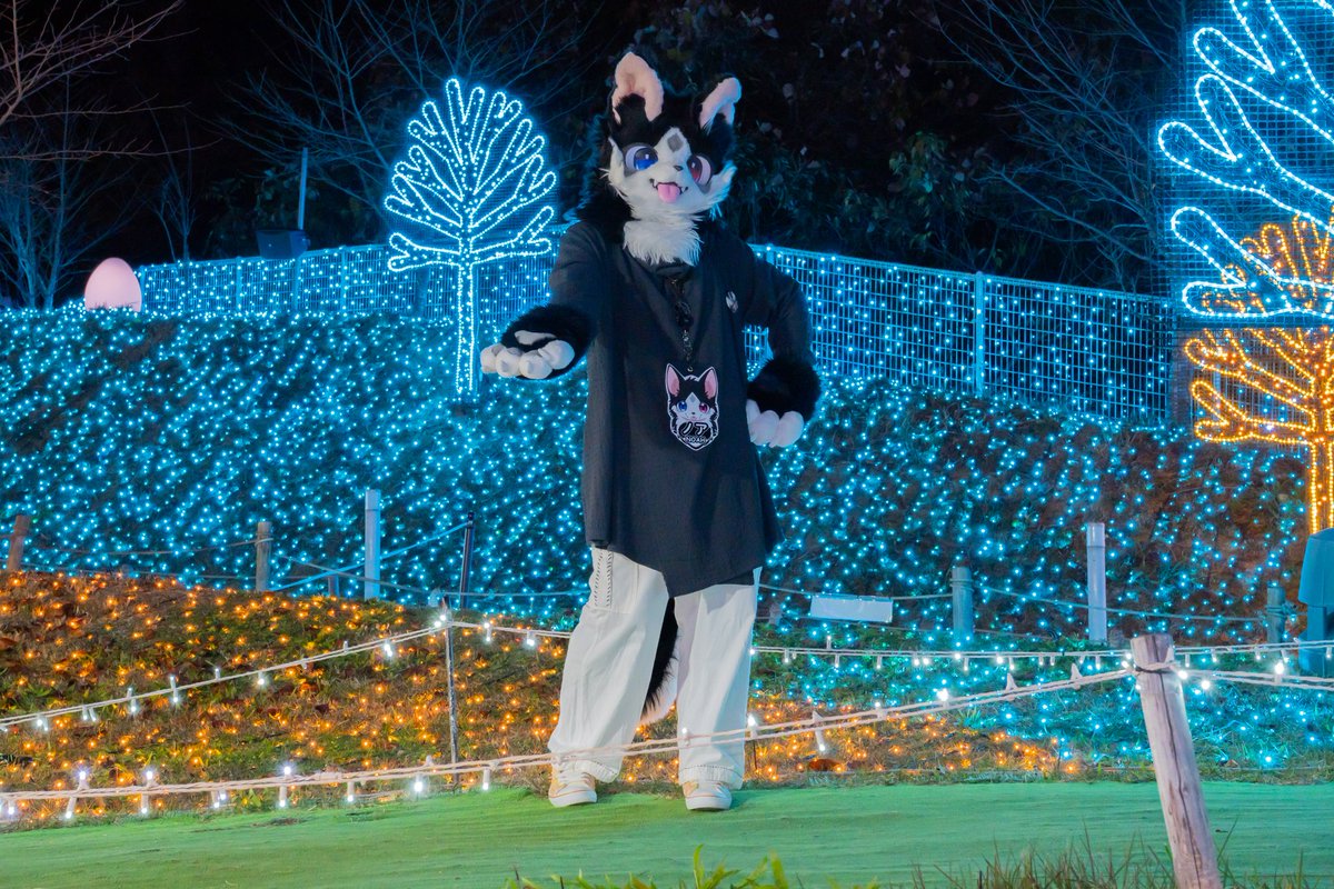 FLEET(ねこのすがた) tweet media