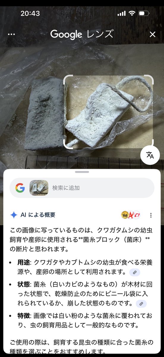 lysistrate06's tweet photo. 一方、AIが苦手な分野はこちら😁本当は、シッキム州の市場で売っていたチーズの一種です。#インド #ガントク #Googleレンズ https://t.co/Ie0vMCGuxq