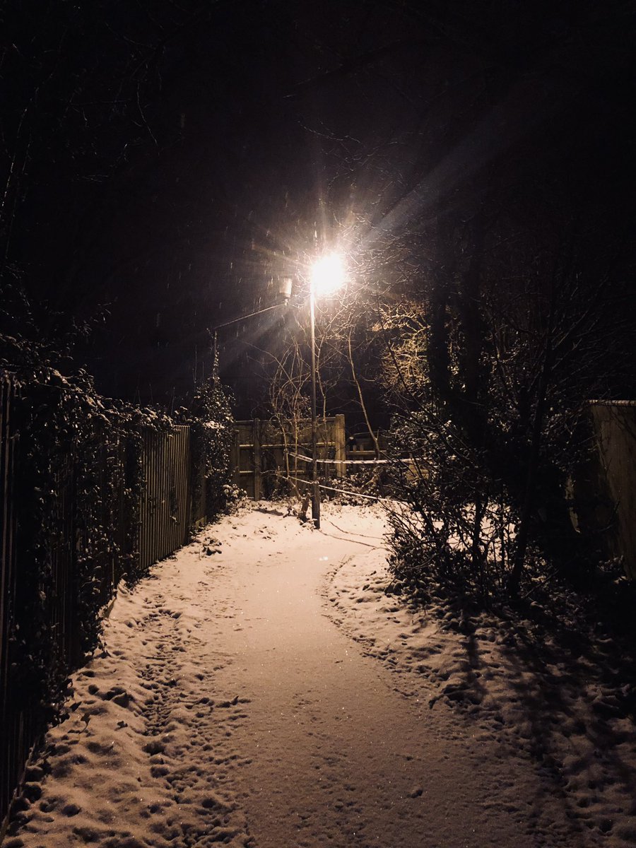 Brick Cop©️ tweet media