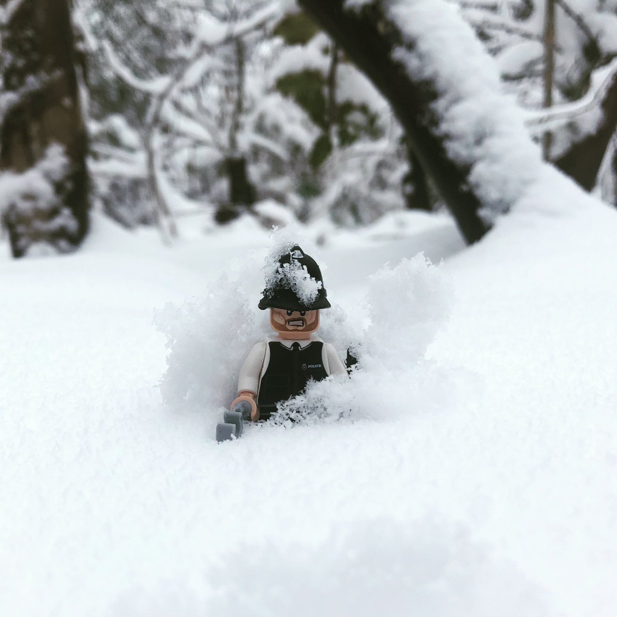 Brick Cop©️ tweet media