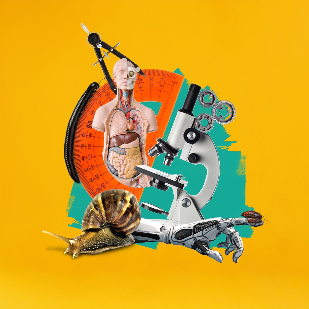 ZooLabUK tweet media