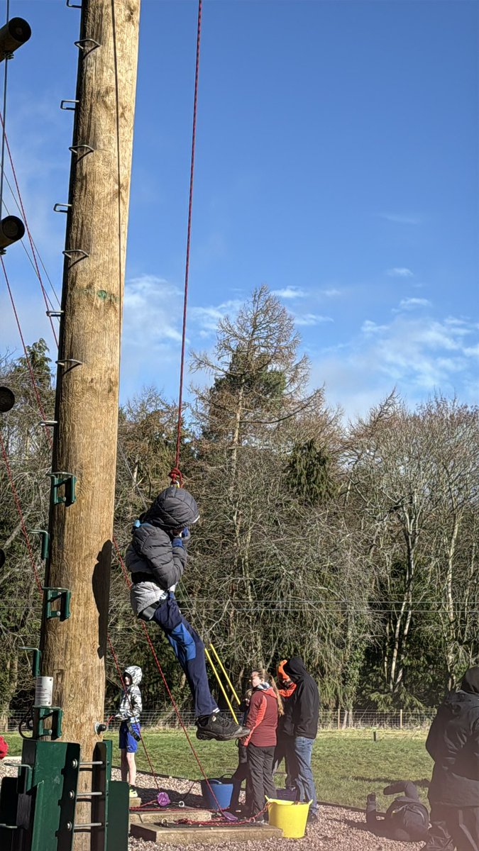 Danderhall Primary tweet media