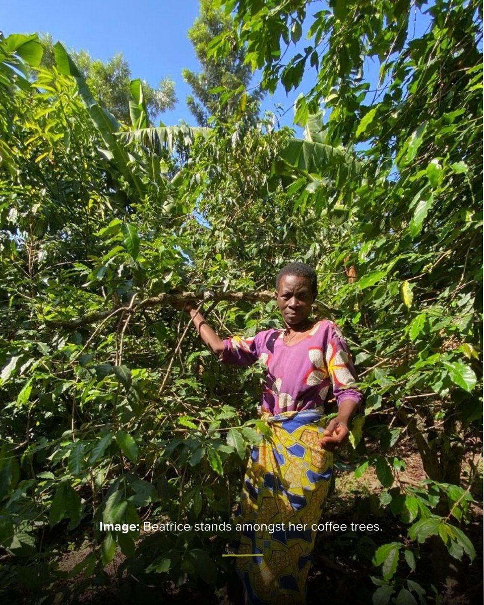 Shared Interest tweet media