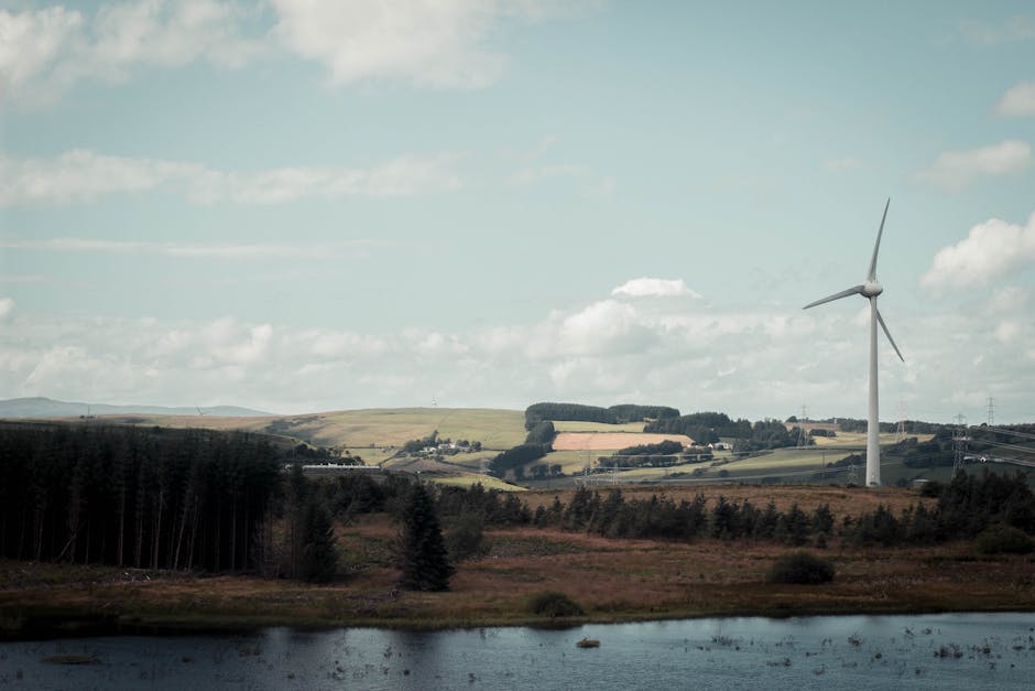 Built Environment Forum Scotland tweet media