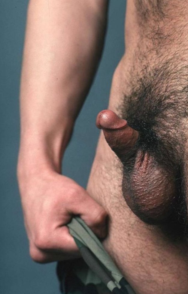 Small dick paradise tweet media