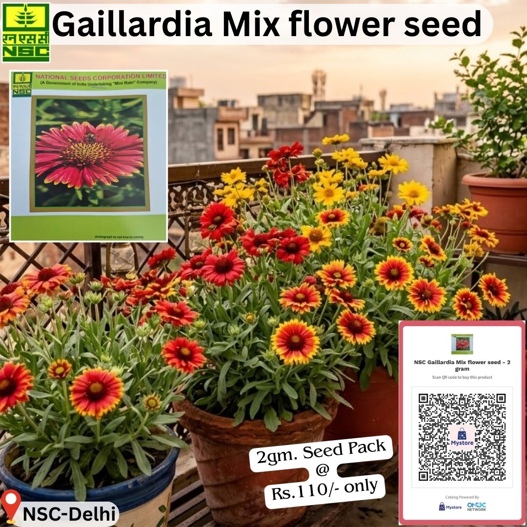 National Seeds Corporation Limited tweet media