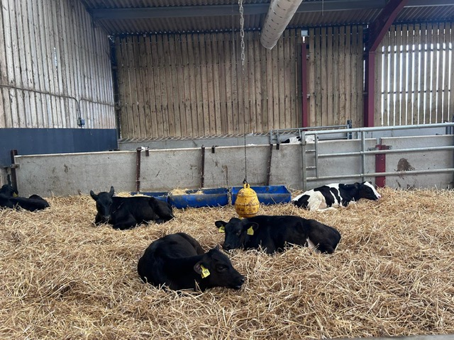 National Milk Records (NMR) tweet media