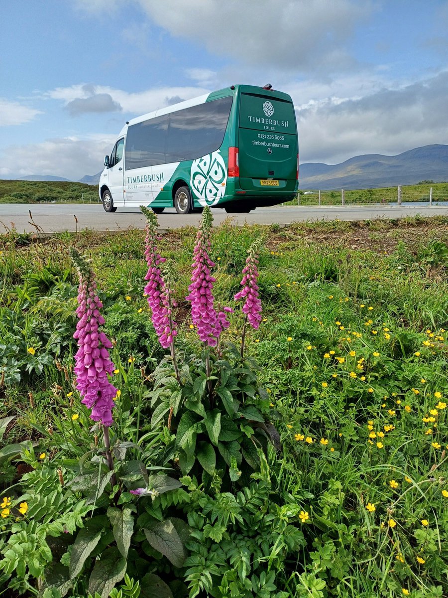 timberbushtours's tweet photo. Mother's Day is right around the corner, and as much as we love flowers, we think they're best seen in the wild on tour rather than in a bouquet! 🌷 

our gift cards are the perfect way to show your love this Mother's Day. Click the link in our bio to get yours on our website! https://t.co/6riVjOanZM