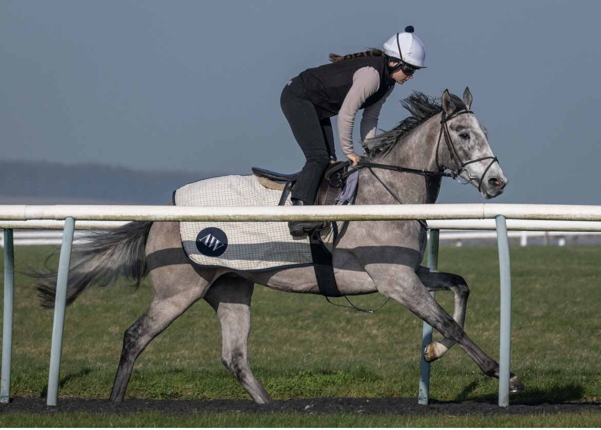 Hambleton Racing tweet media