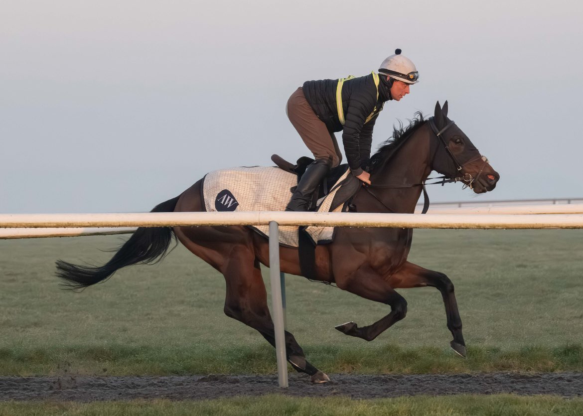 Hambleton Racing tweet media