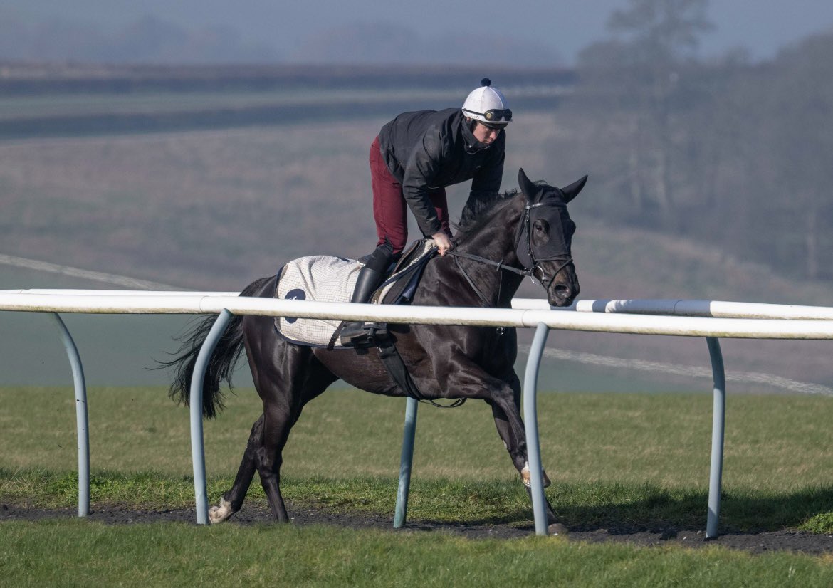 Hambleton Racing tweet media