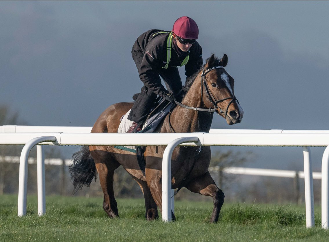 Hambleton Racing tweet media