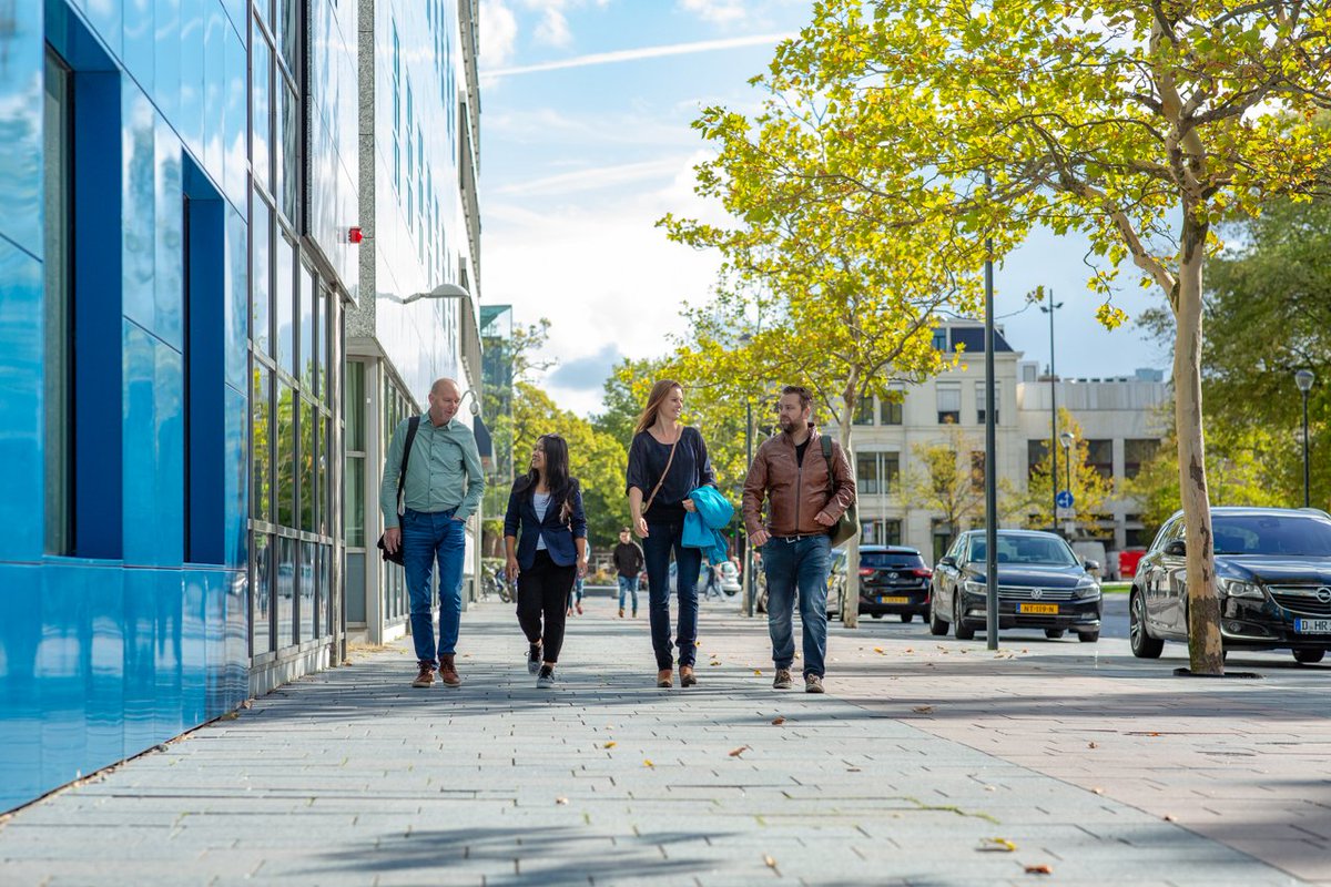 Wandelnet tweet media