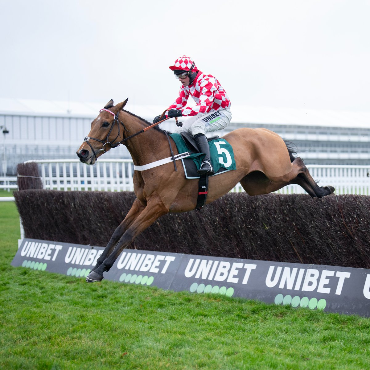 Free Super Tips tweet media