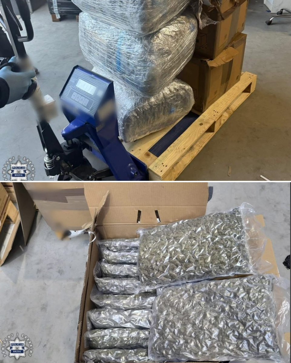 🌐 ᴛʜᴇᴘᴏʟᴀɴᴅɴᴇᴡs 🌐 tweet media