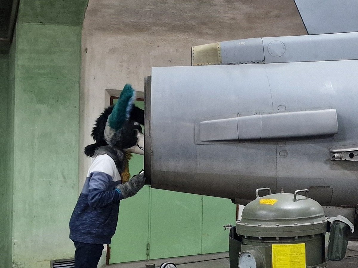 Cyon 🔜 NFC tweet media