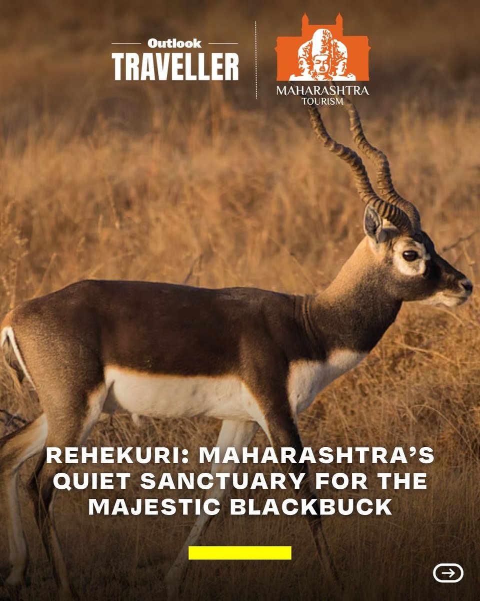 Outlook Traveller tweet media