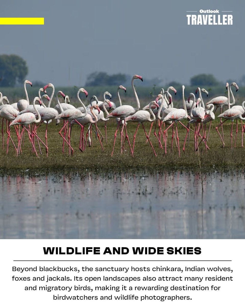 Outlook Traveller tweet media