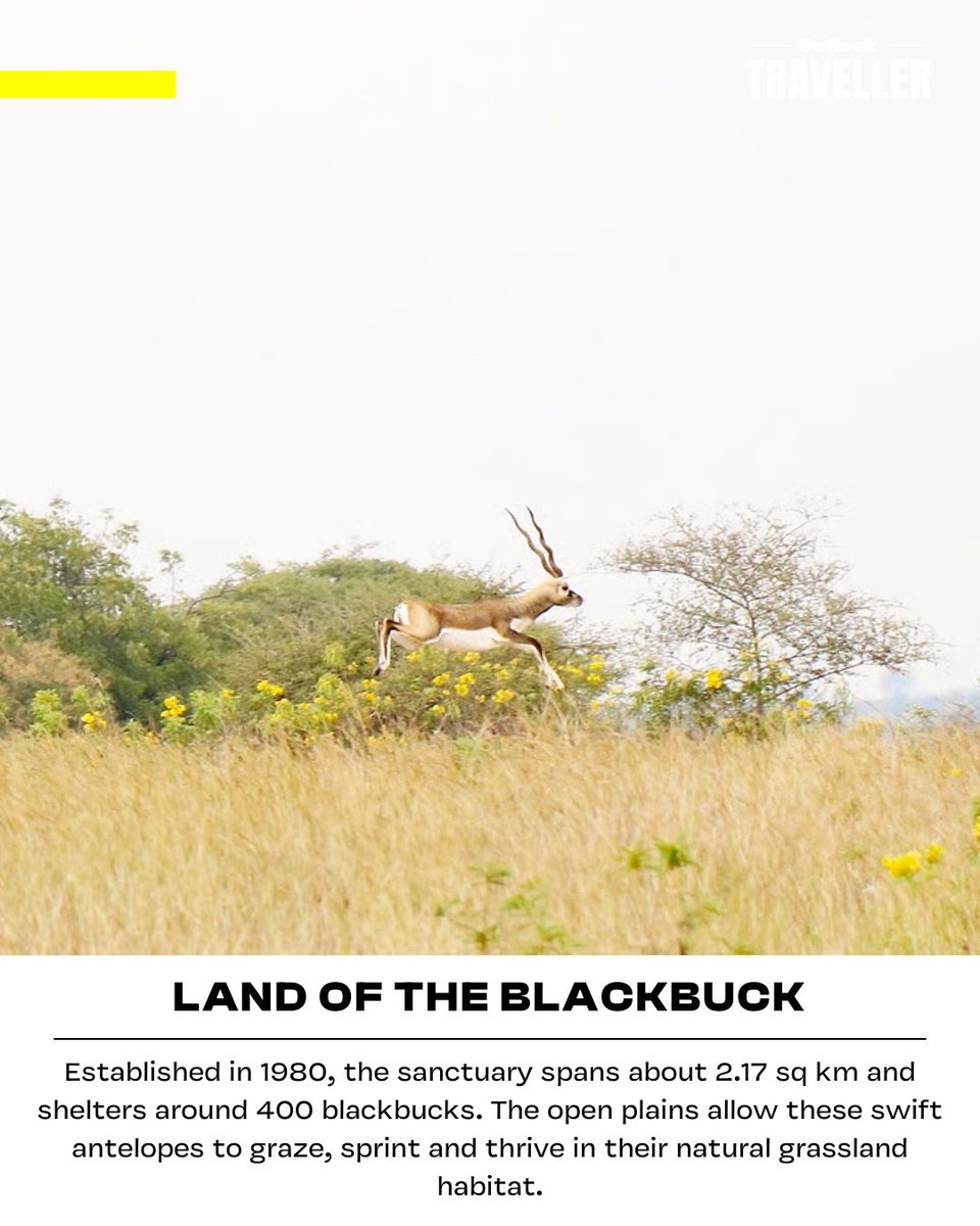 Outlook Traveller tweet media