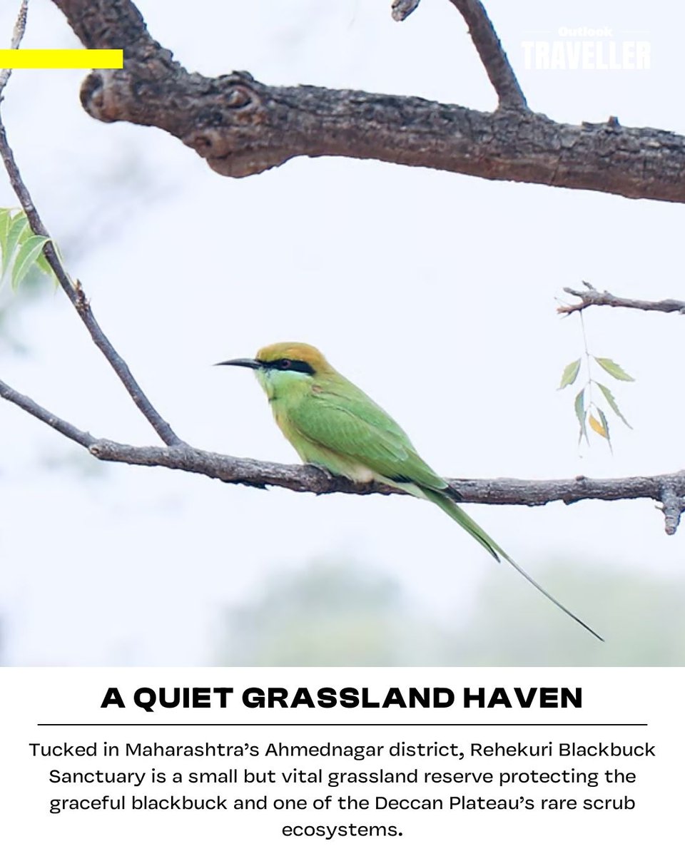 Outlook Traveller tweet media