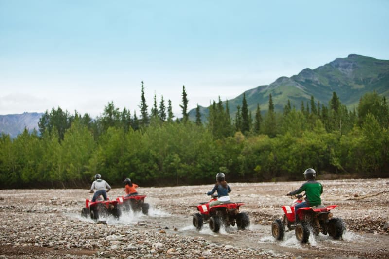 Rev up the adventure! 🏔️🚙
Explore Alaska beyond the ship with Celebrity Cruises, where cruisetours take you deep into Denali’s rugged wilderness. This is the wild Alaska you will never forget.

Contact me to start planning your ultimate Celebrity Alaska cruisetour!