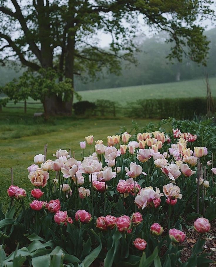 ღℳóทicɑ͜͡❥ tweet media