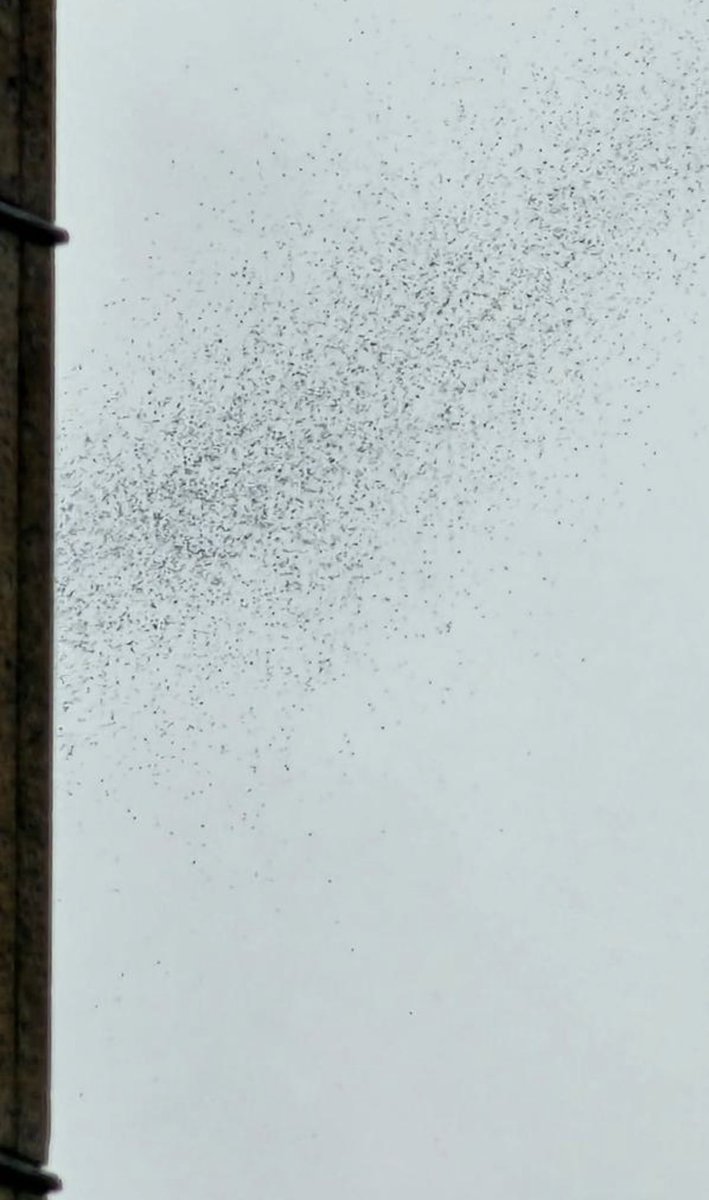 courtneybonneauimages tweet media