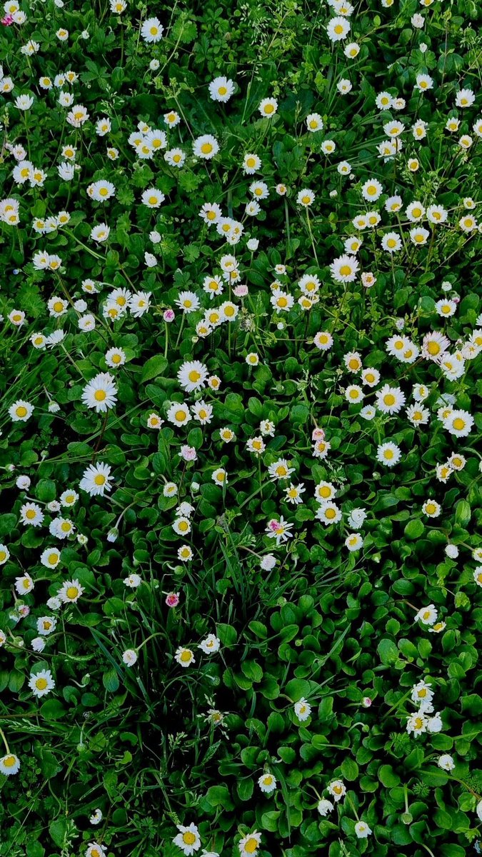 Michelangelo_C♏️ tweet media