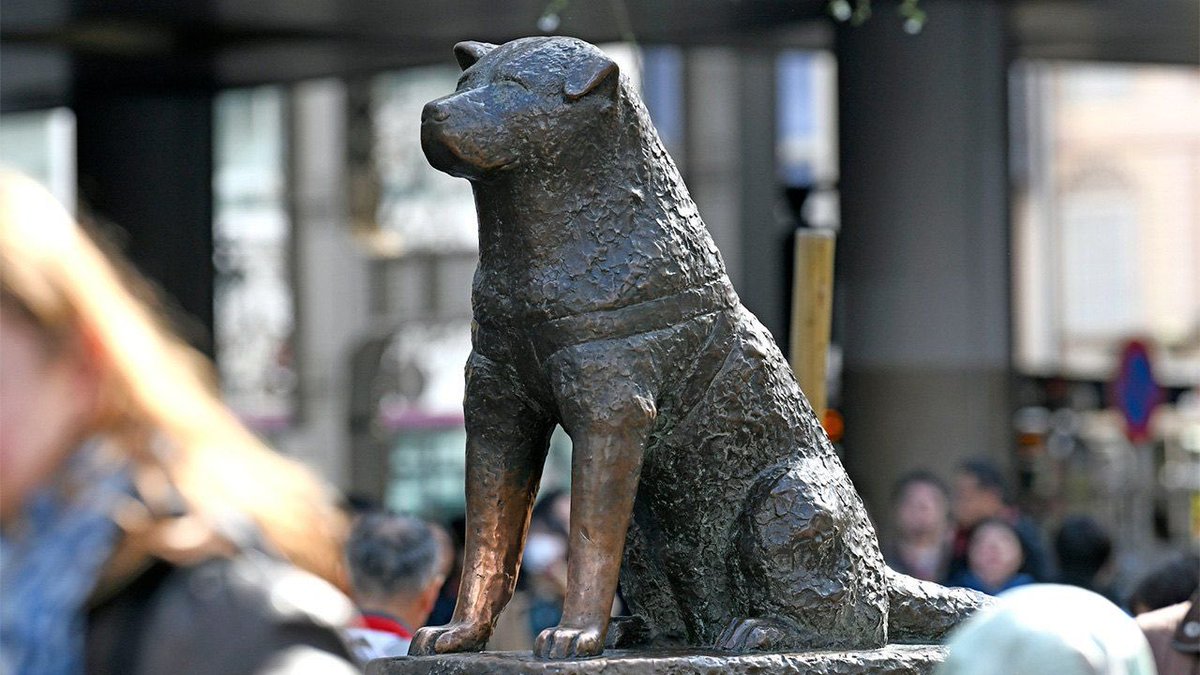 Hachiko tweet media