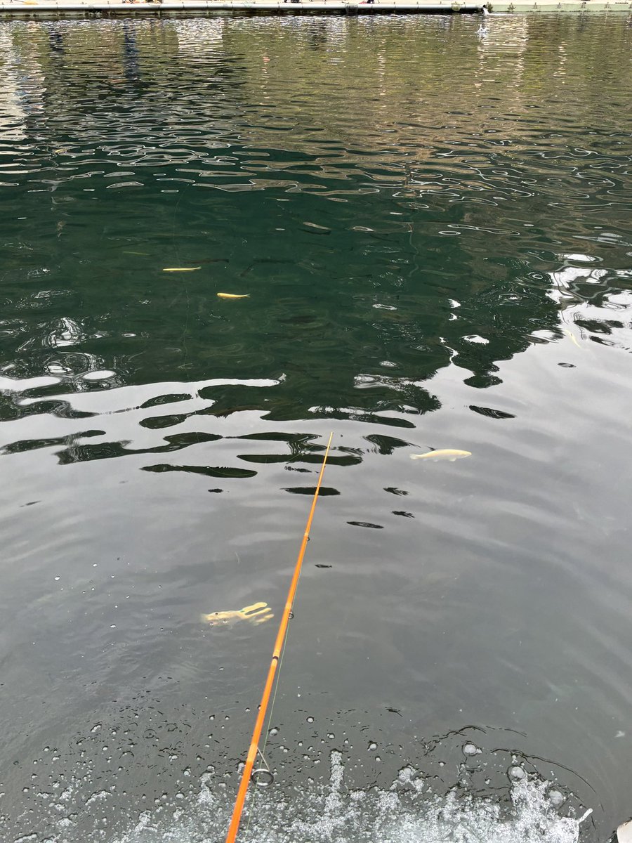 ハンドクリーム tweet media